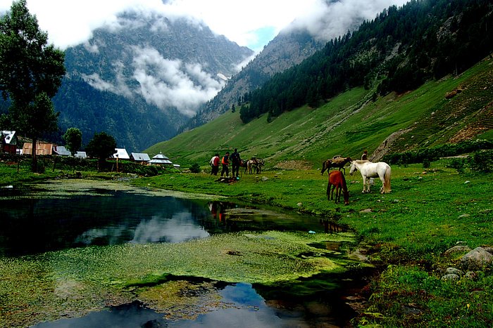 Kashmir Stopover Package